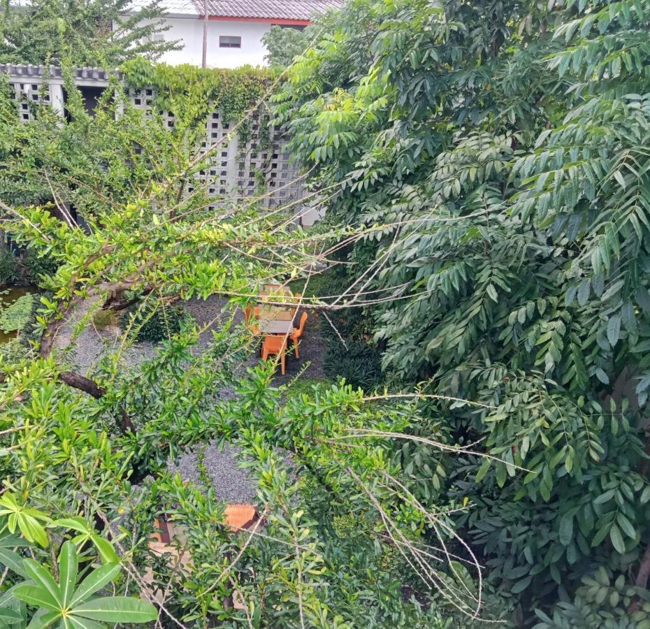 Baba Pim Villa Chiang Mai Bagian luar foto
