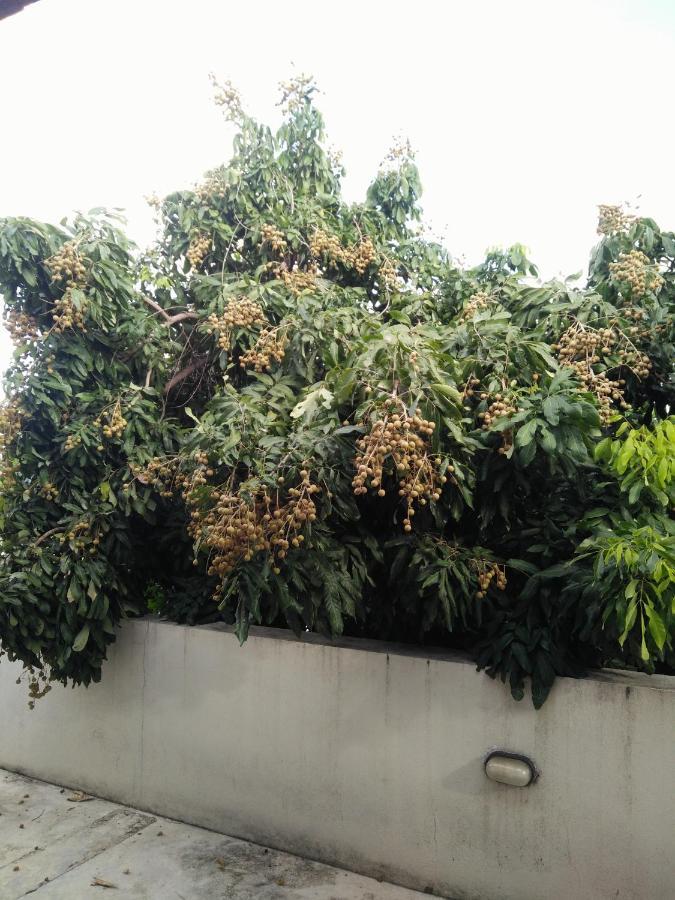 Baba Pim Villa Chiang Mai Bagian luar foto